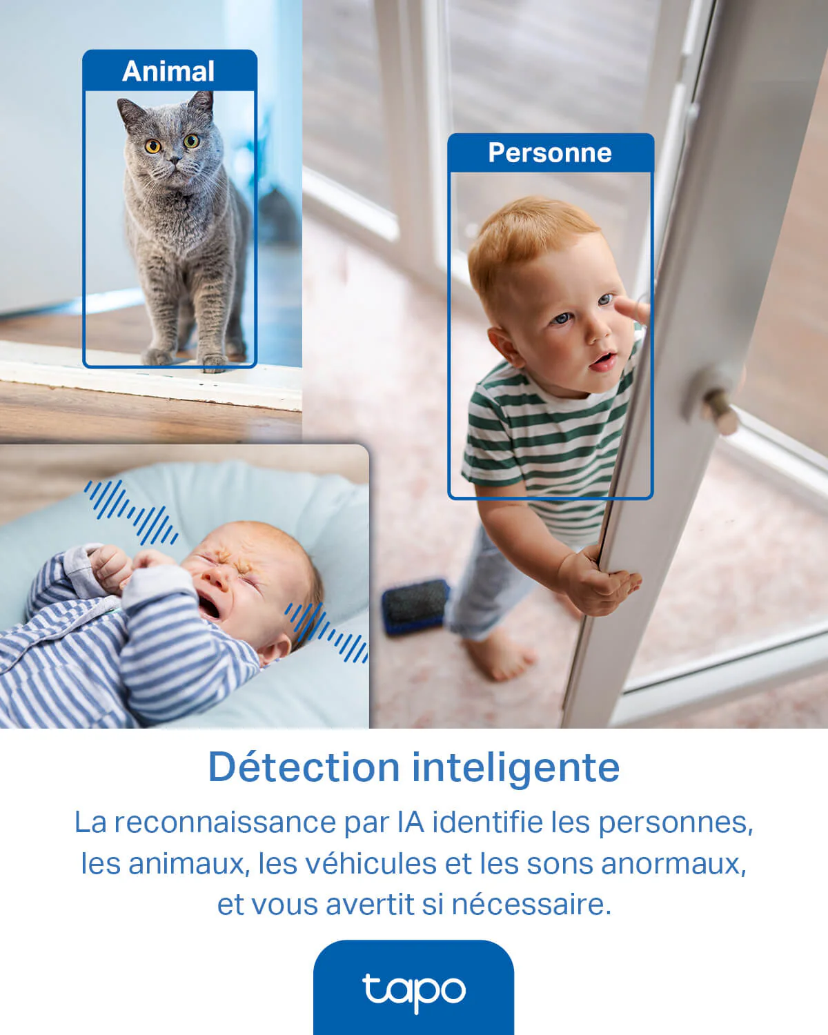 Caméra de Surveillance Intérieure Panoramique 2K QHD - Tapo C220 - Image 4